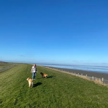 Traumblick Nr 24 Aufs Wattenmeer Blick Bis Nach Texel * Westerland