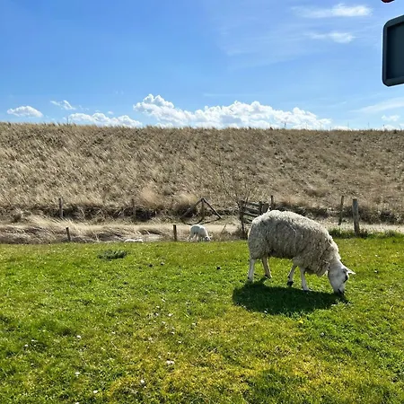 Traumblick Nr 24 Aufs Wattenmeer Blick Bis Nach Texel Casa vacanze Westerland
